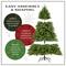 6.5 ft. Pre-Lit Carolina Pine Slim Artificial Christmas Tree with Flocked Pine Cones, Clear Lights
